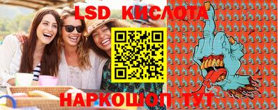ГАЛЛЮЦИНОГЕННЫЕ ГРИБЫ Беслан