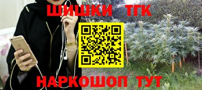 шишки Кимры