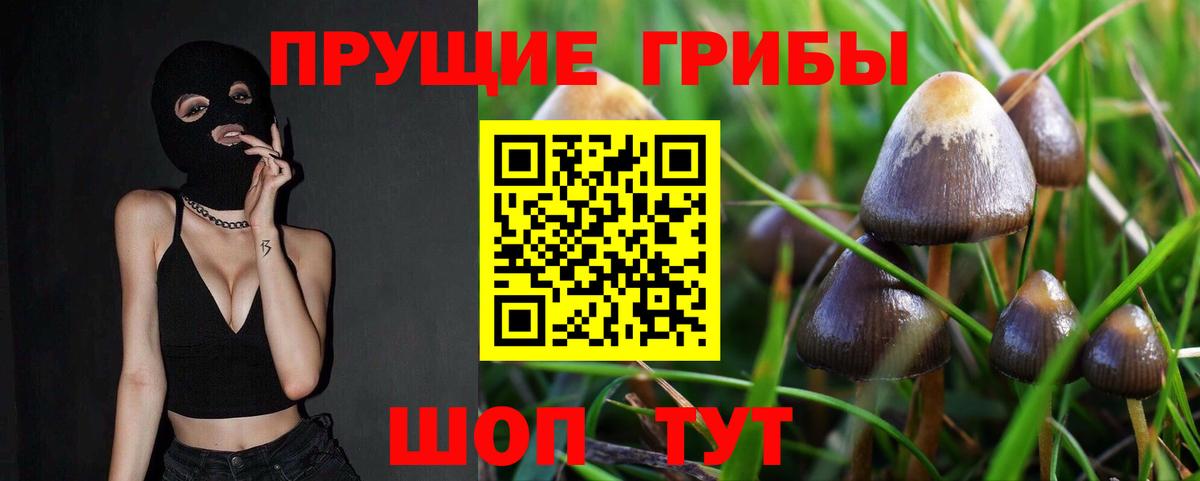 Знаменск  Псилоцибиновые грибы Magic Shrooms  Галлюциногенные грибы Cubensis  Вход с VPN 